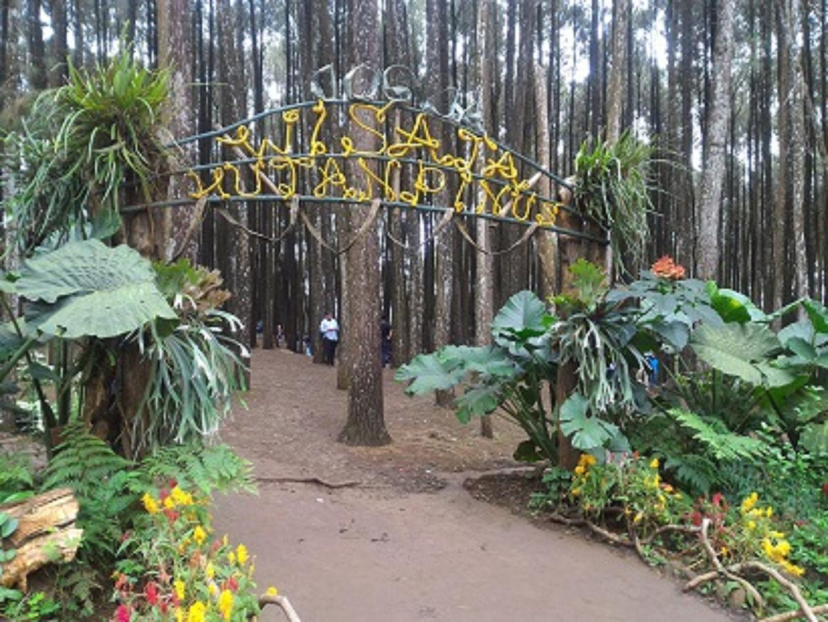 יוגיאקרטה La Javanaise Home Stay Malioboro מראה חיצוני תמונה